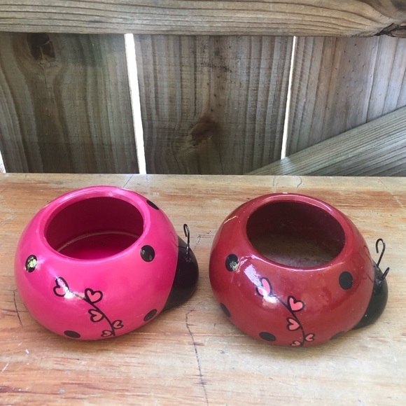 Set of 2 Rocket Farms Lovebugs Ladybugs Mini Planters Pink & Red with Hearts - Picture 3 of 8